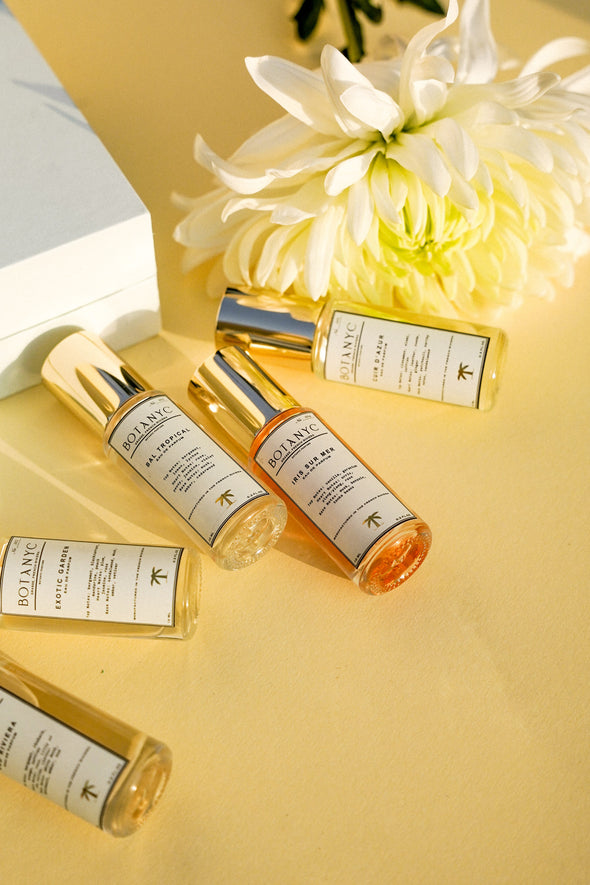 EDP BOTANYC DISCOVERY SET