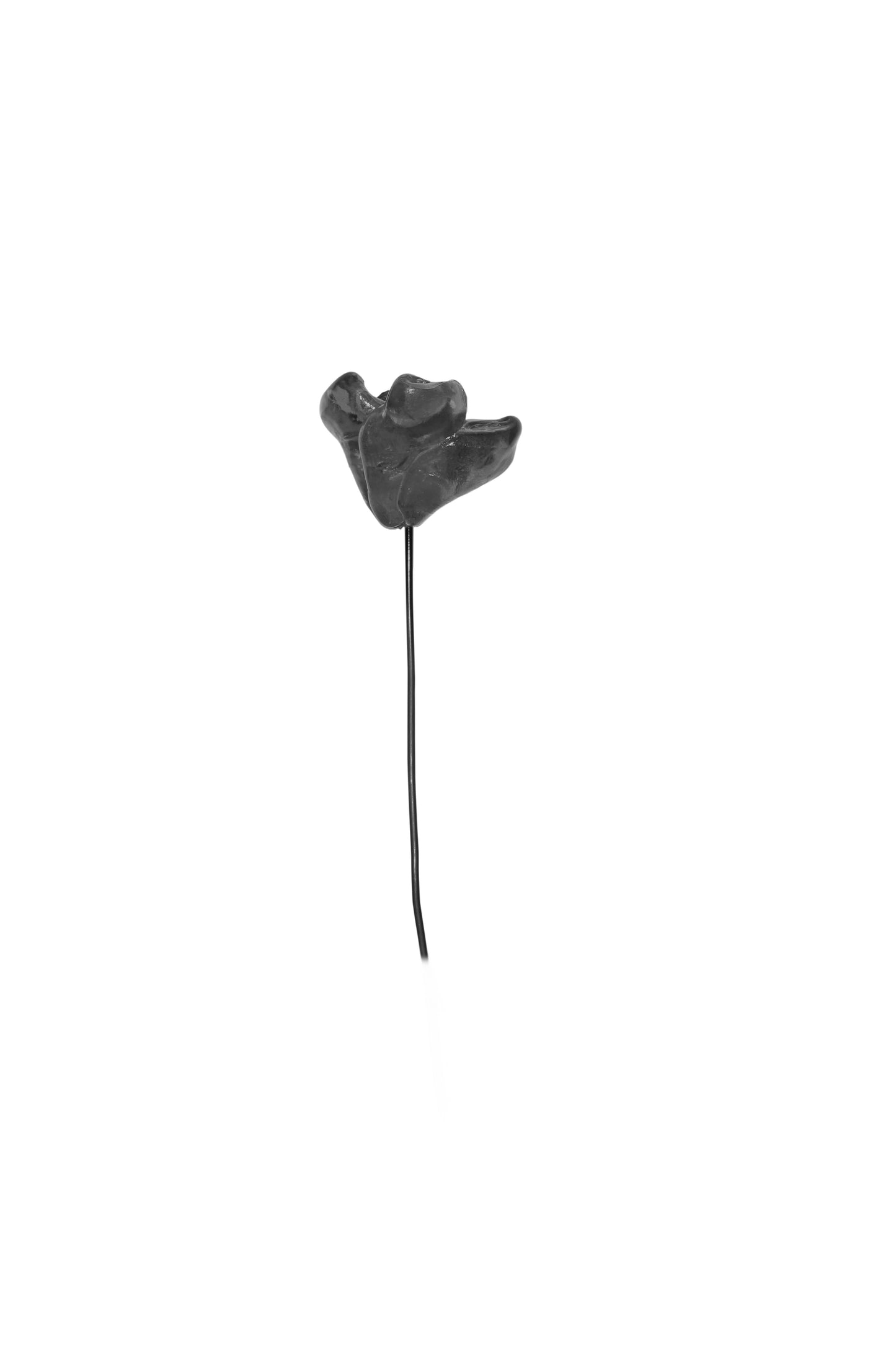 Waste flower decorative flowers by andrea bertinotti