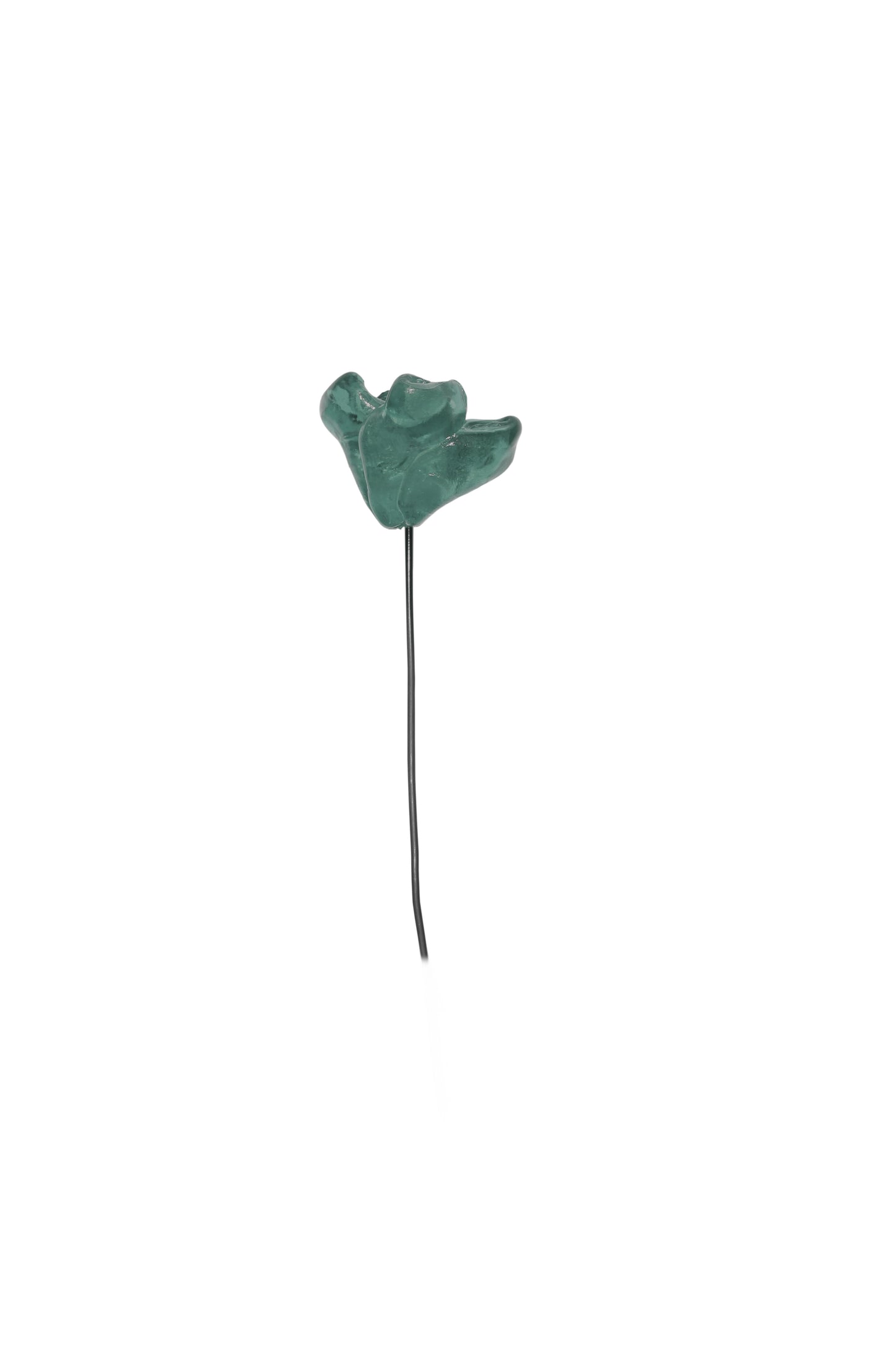 Waste flower decorative flowers by andrea bertinotti
