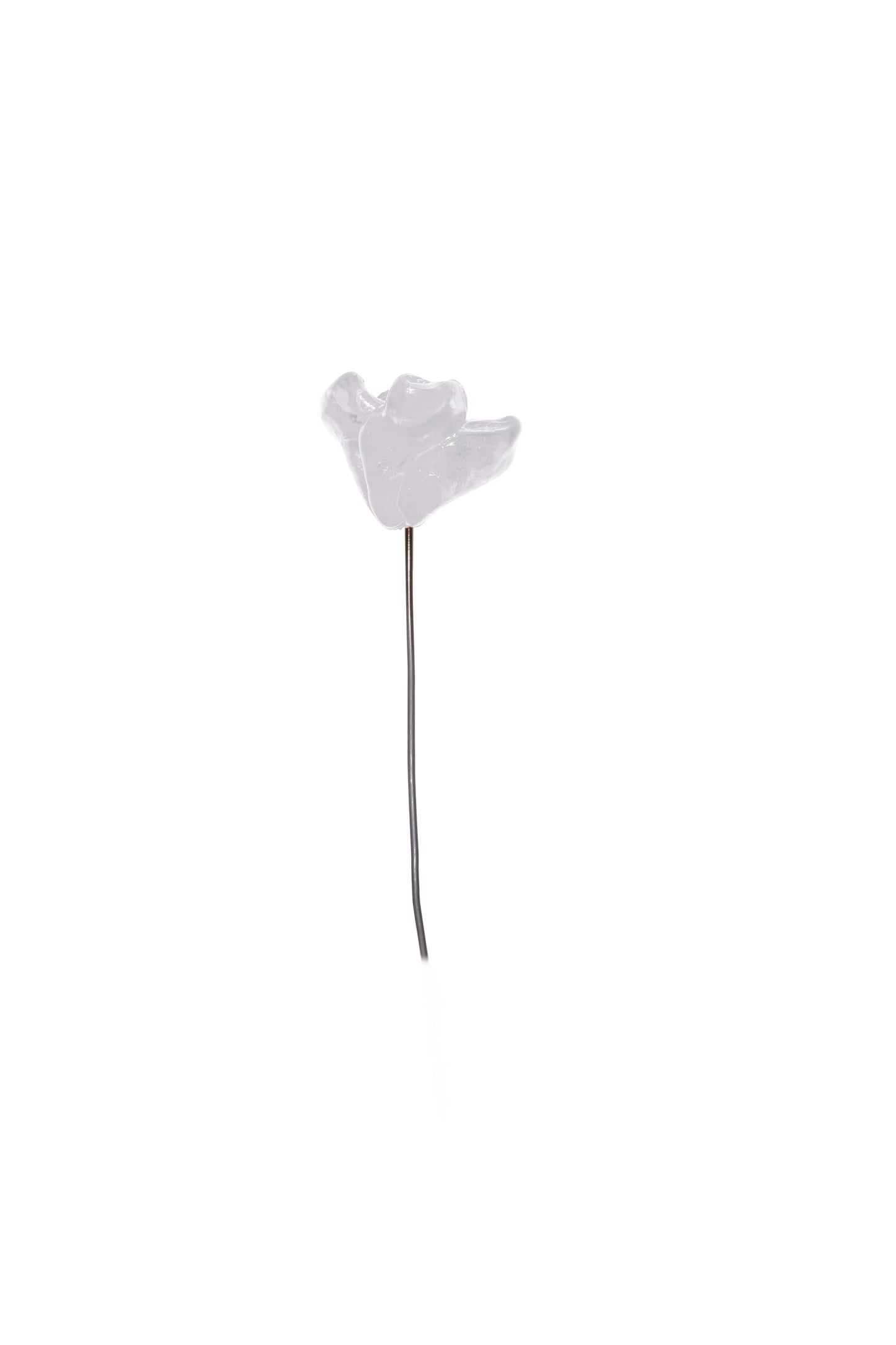 Waste flower decorative flowers by andrea bertinotti
