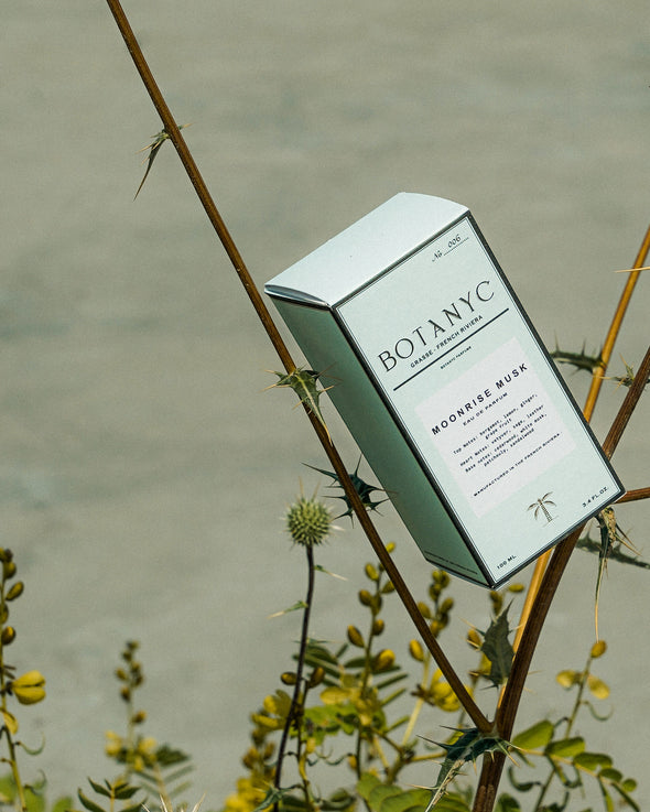 MOONRISE MUSK EDP