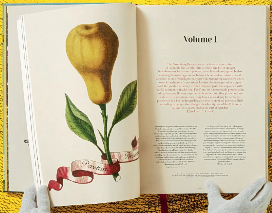 Taschen Book limited edition volkamer, citrus fruits