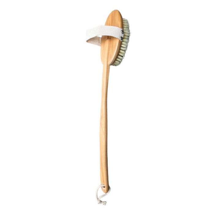 Long handle bath brush