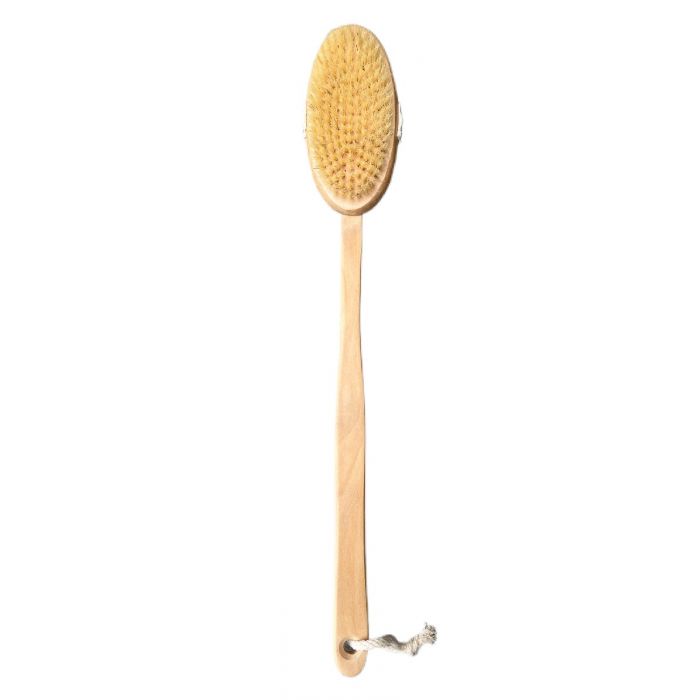 Long handle bath brush