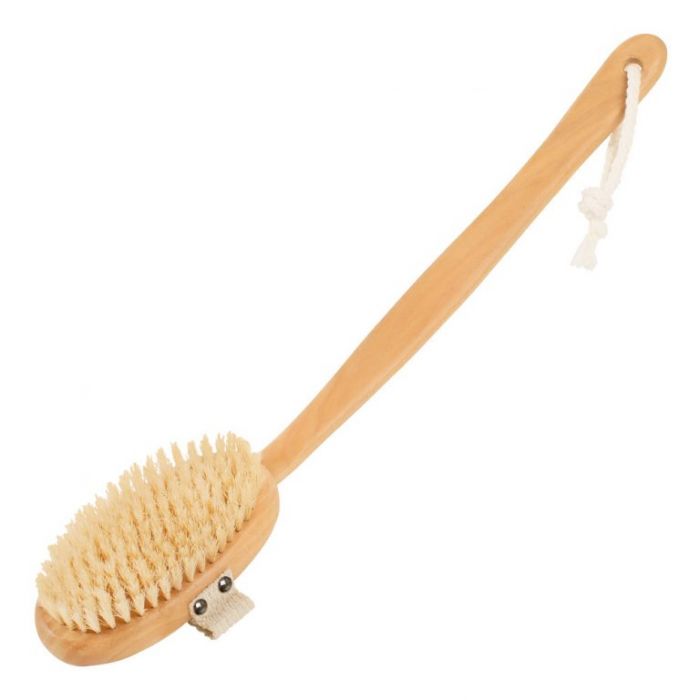 Long handle bath brush