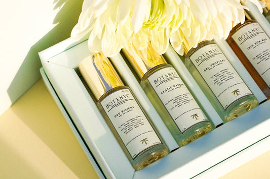 EDP BOTANYC DISCOVERY SET