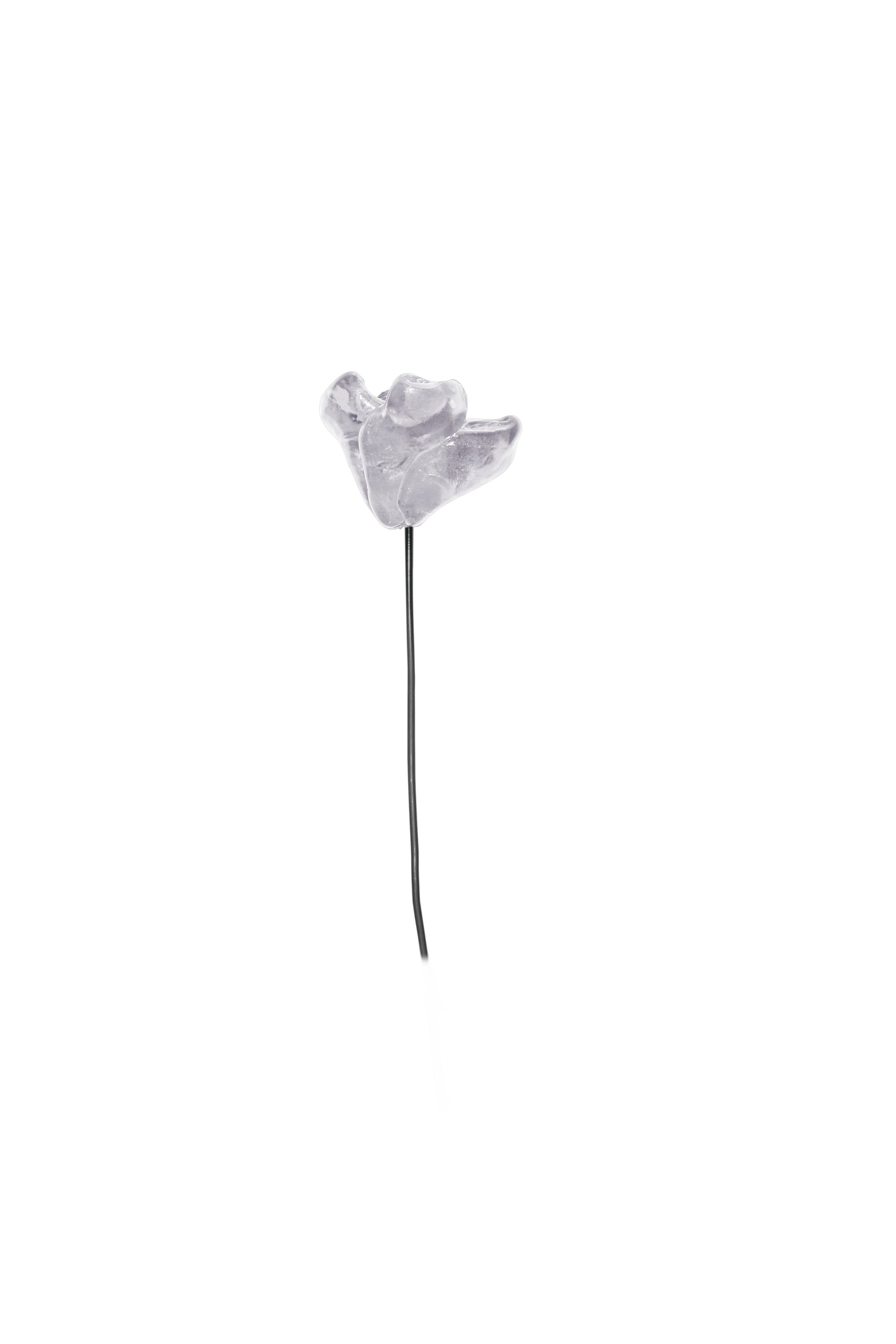 Waste flower decorative flowers by andrea bertinotti
