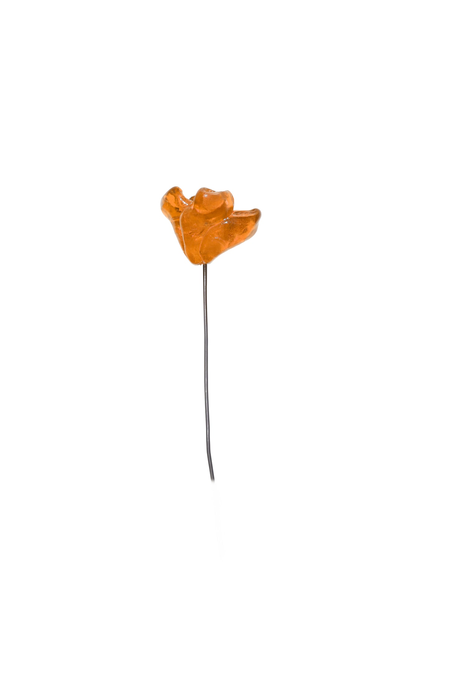 Waste flower decorative flowers by andrea bertinotti