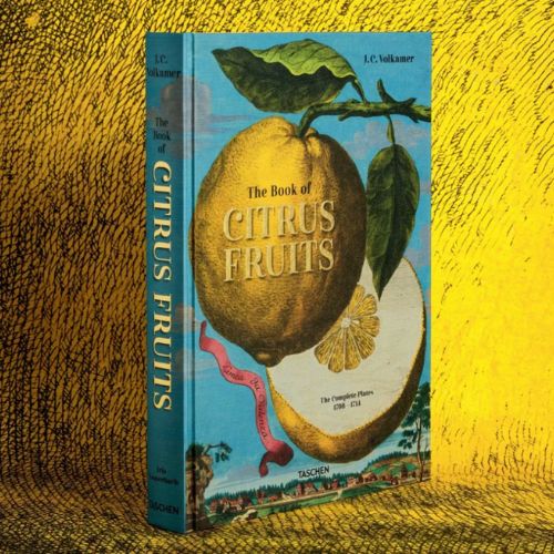 Taschen Book limited edition volkamer, citrus fruits