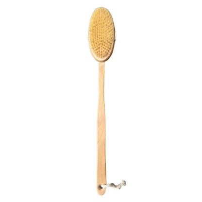 Long handle bath brush